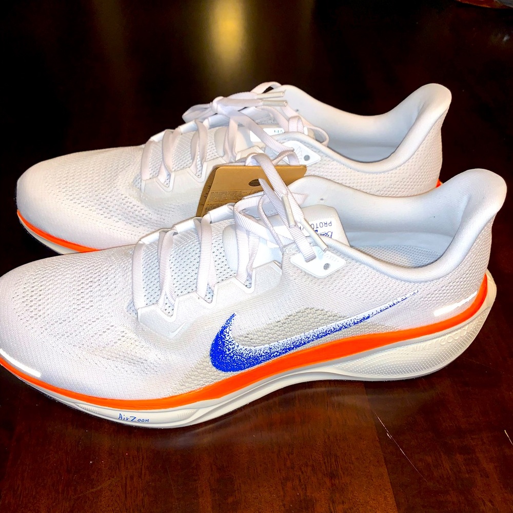 Nike Pegasus 41 “Blueprint” size13